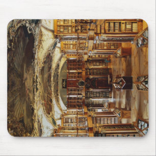 Baroque Abbey Library, St. Gallen, Zwitserland Muismat