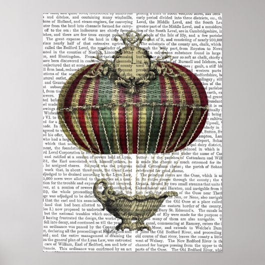 Baroque Fantasy-ballon Poster (Voorkant)