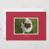 Barques de fête | Carte photo pour animaux de comp (Dos)