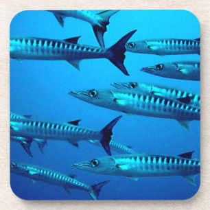 barracuda duiken diepzee oceaan water tropische go drankjes onderzetter