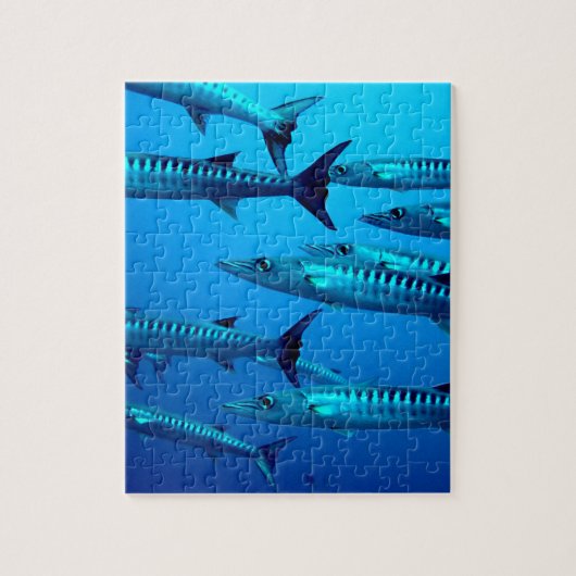 barracuda duiken diepzee oceaan water tropische go legpuzzel (Verticaal)