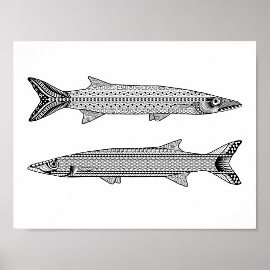 Barracuda Fish Adult Coloring Poster (Voorkant)