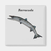 Barracuda Game Fish Magneet (Voorkant)