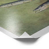 Barracuda Impression de poisson Vintage (Coin)