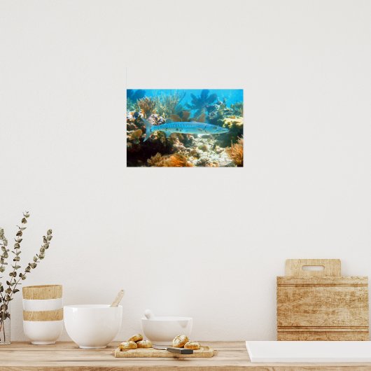 BARRACUDA POSTER (Cuisine)