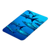 Barracudas Magneet (Linkerzijde)