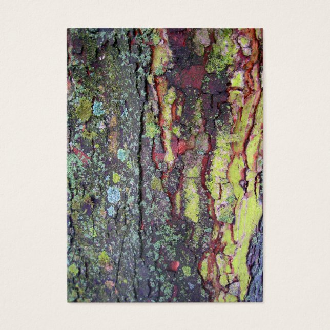 Barre d'arbre (Devant)