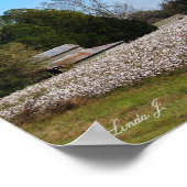 Barre et coton toile de champ ou affiche (Coin)