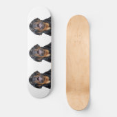 Barre Rottweiler Skateboard (Recto)