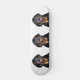 Barre Rottweiler Skateboard