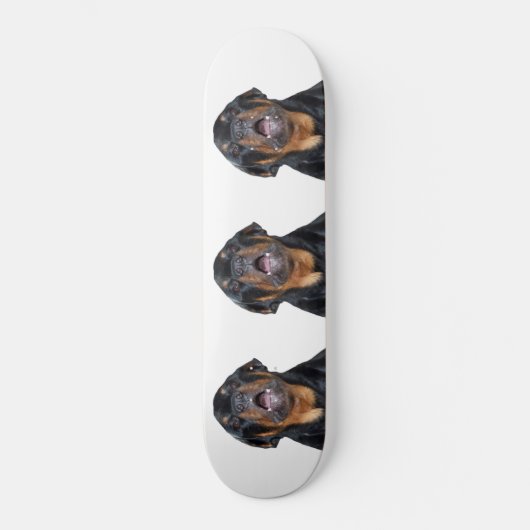 Barre Rottweiler Skateboard (Recto)