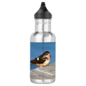 Barre Swallow bouteille d'eau (Droite)