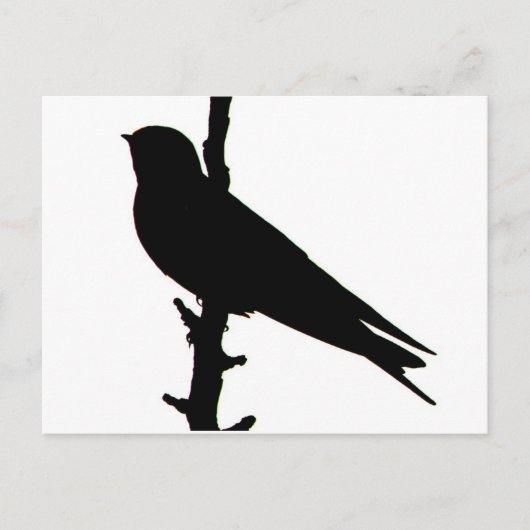Barre Swallow silhouette Carte postale (Devant)