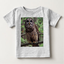 Barred Owl