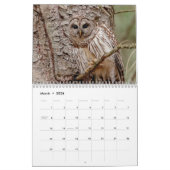 Barred Owl 2026 Kalender (Mar 2026)