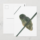 Barred Owl Briefkaart (Voorkant / Achterkant)