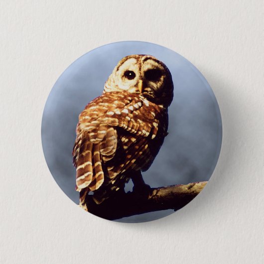 Barred Owl Button (Voorkant)