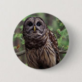 Barred Owl Button (Voorkant)