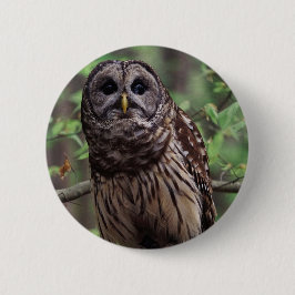 Barred Owl Button