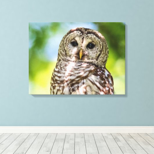 Barred Owl Canvas Afdruk (Insitu (Houten vloer))