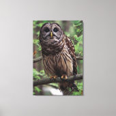 Barred Owl Canvas Afdruk (Voorkant)