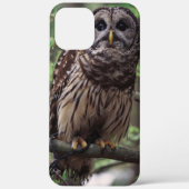 Barred Owl Case-Mate iPhone Case (Achterkant)