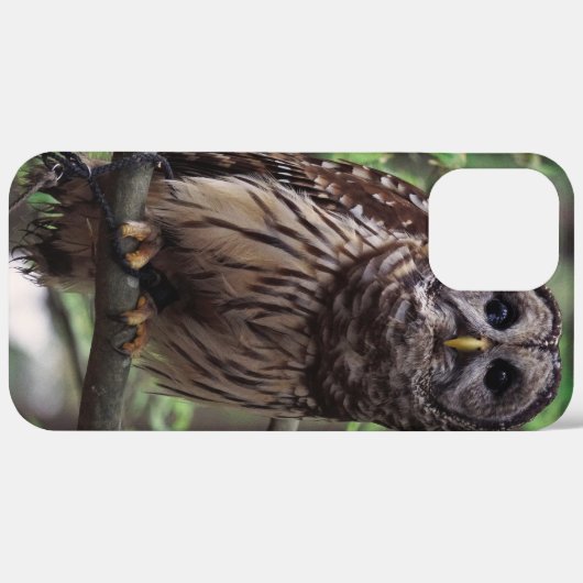 Barred Owl Case-Mate iPhone Case (Achterkant (horizontaal))