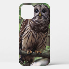 Barred Owl iPhone 12 Hoesje