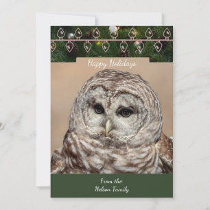 Barred Owl Christmas Kaart