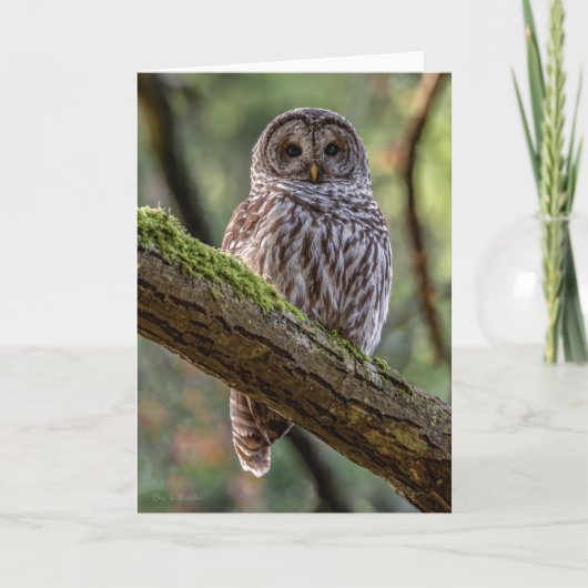 Barred Owl Dank je wel Bedankkaart (Voorkant)