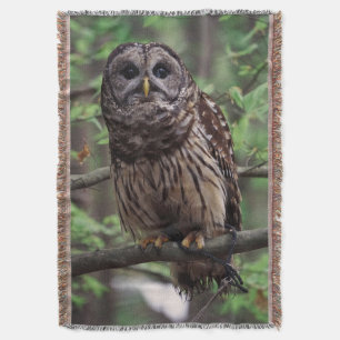 Barred Owl Deken