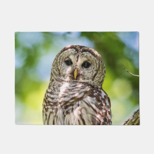 Barred Owl Deurmat (Voorkant)