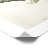 Barred Owl door Audubon Poster (Hoek)