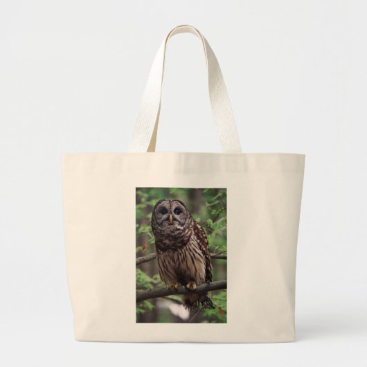 Barred Owl Grote Tote Bag (Voorkant)