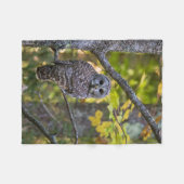 Barred Owl in Herfst | Alger County, MI Fleece Deken (Voorkant (Horizontaal))