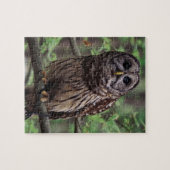 Barred Owl Jigzaag Puzzle Legpuzzel (Horizontaal)