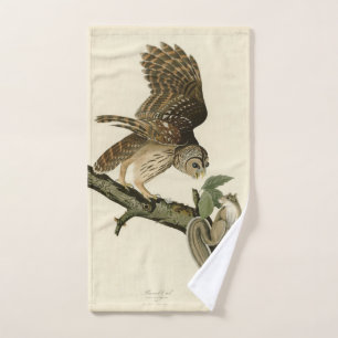 Barred Owl, John James Audubon's Birds of America