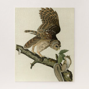 Barred Owl, John James Audubon's Birds of America Legpuzzel
