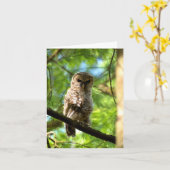 Barred Owl (juveniel) #3 - Blank Note Card Kaart (Gele Bloem)