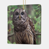 Barred Owl Keramisch Ornament (Links)