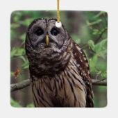 Barred Owl Keramisch Ornament (Achterkant)