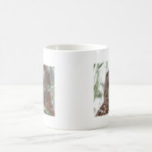 Barred Owl Koffiemok (Center)