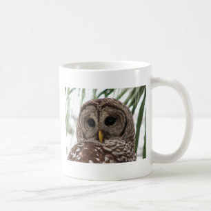 Barred Owl Koffiemok