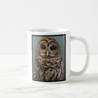 Barred Owl Koffiemok