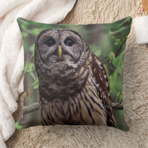 Barred Owl Kussen
