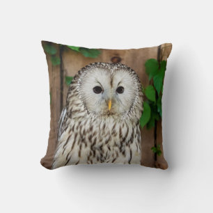 Barred Owl Kussen