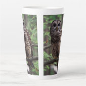 Barred Owl Latte Mok (Voorkant)