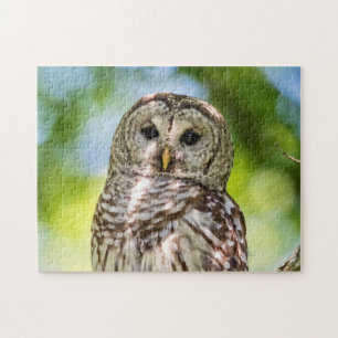 Barred Owl Legpuzzel
