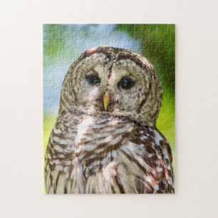 Barred Owl Legpuzzel