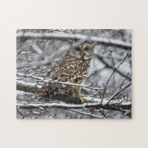 Barred Owl Legpuzzel